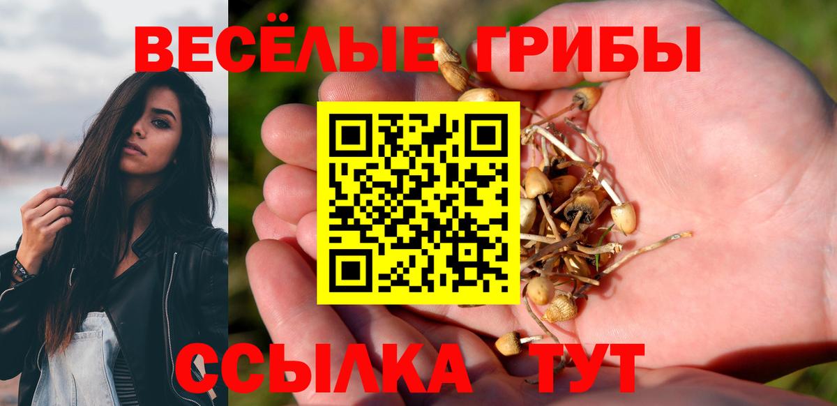 Узловая  Псилоцибиновые грибы Cubensis  Вход с VPN 